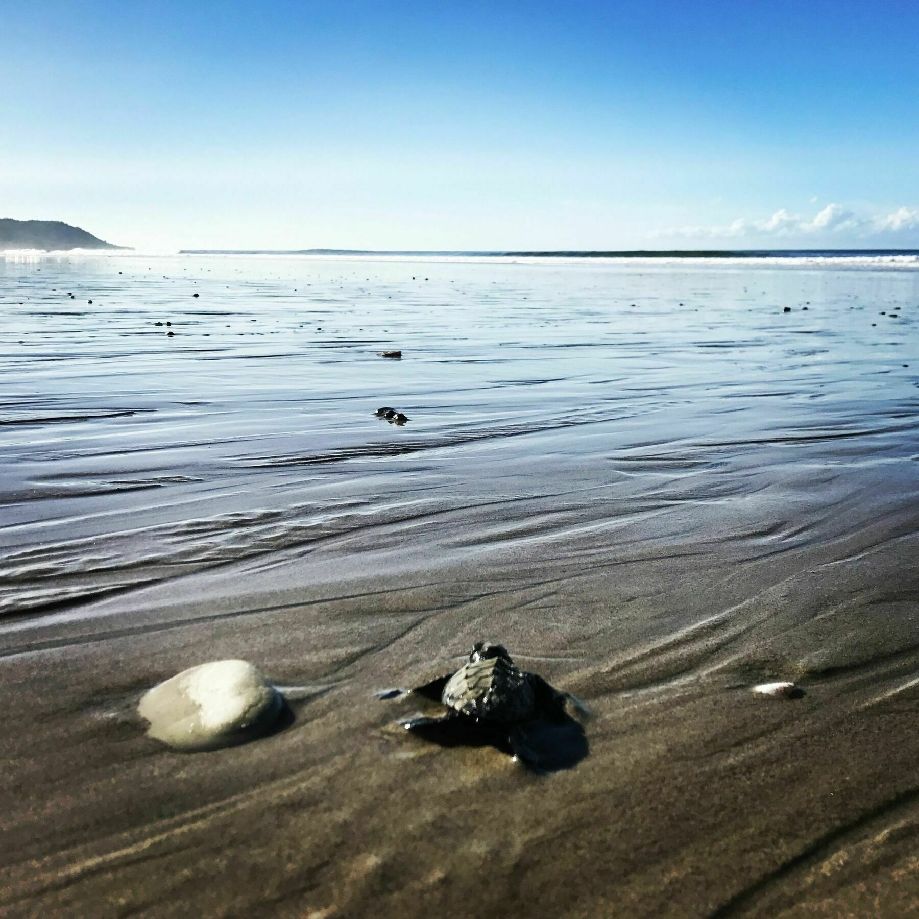 Fuego Lodge Playa Santa Teresa  Экстерьер фото